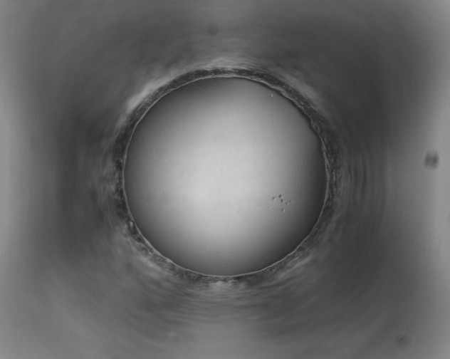 X0000114171160200910081515