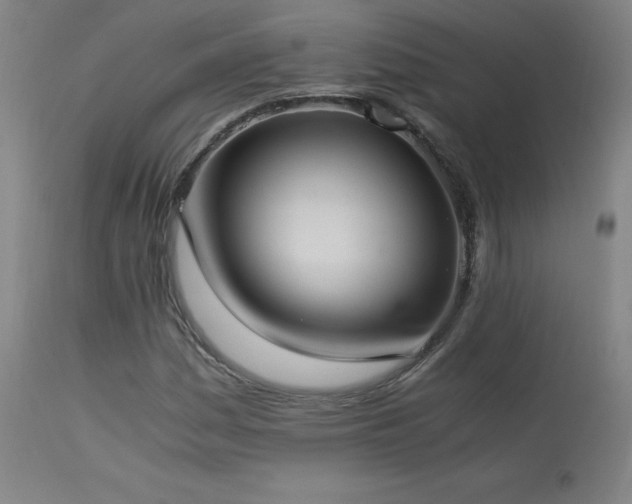 X0000114171161200910081515