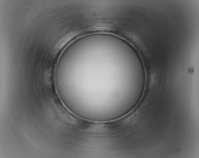 X0000114171162200910081515