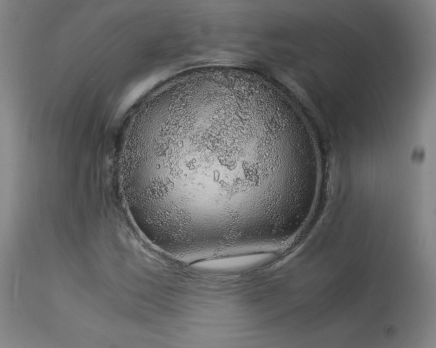 X0000114171163200910081515