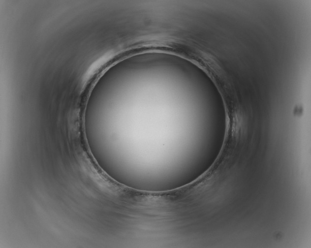 X0000114171164200910081515