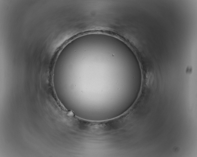 X0000114171165200910081515