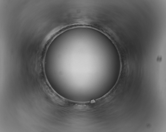 X0000114171168200910081515