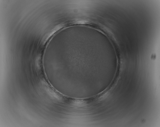 X0000114171170200910081515