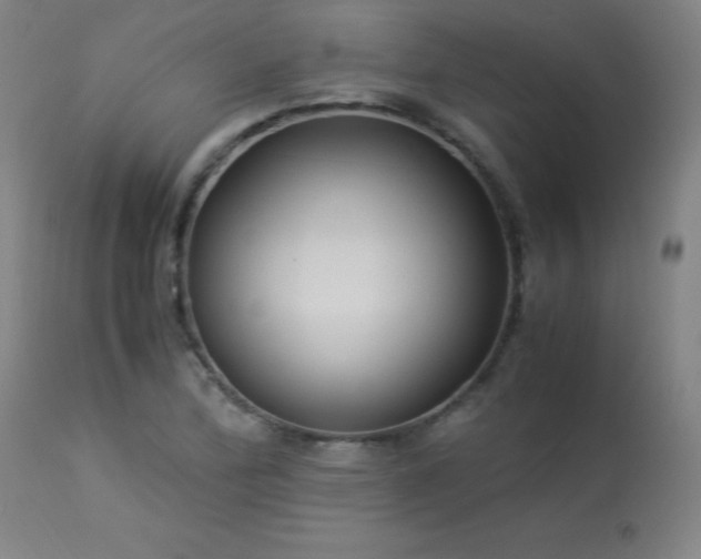X0000114171172200910081515