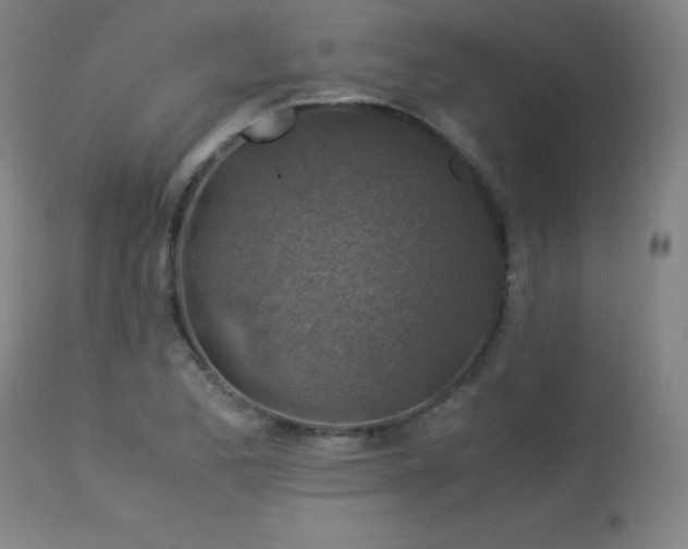 X0000114171173200910081515