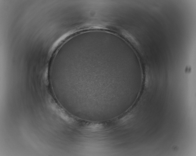 X0000114171174200910081515