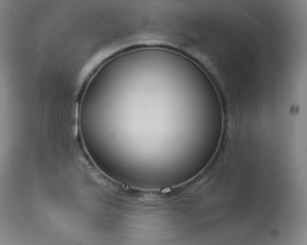 X0000114171175200910081515