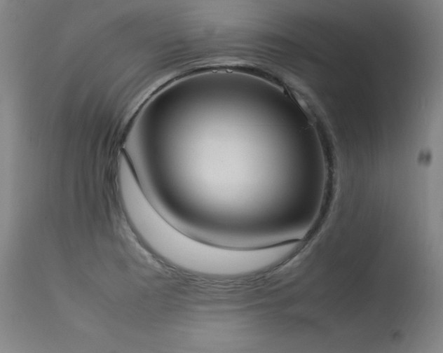 X0000114171177200910081515