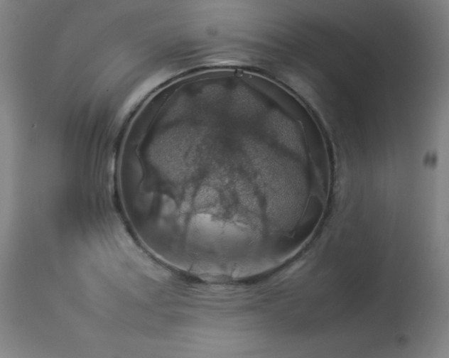 X0000114171179200910081515