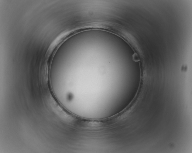 X0000114171180200910081515