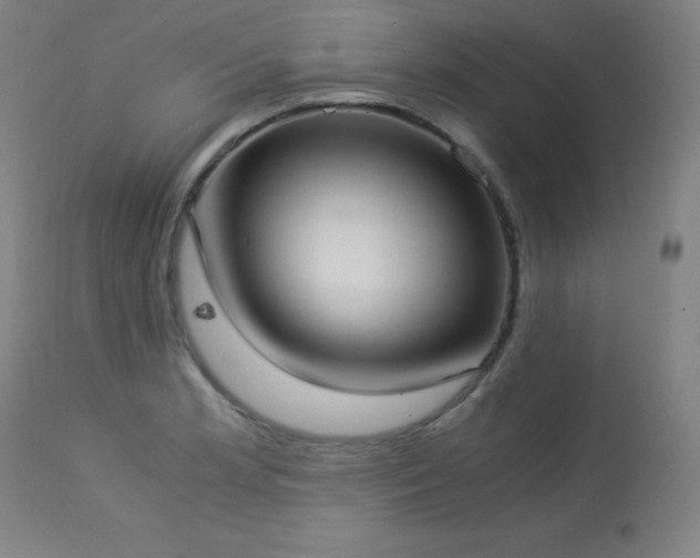 X0000114171181200910081515