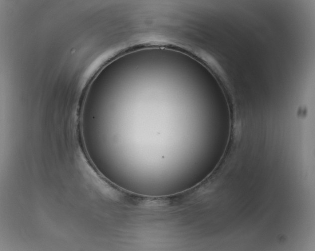 X0000114171183200910081515