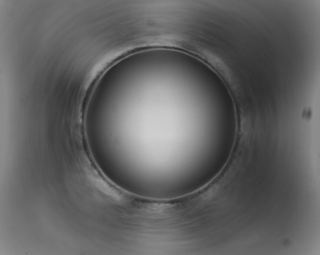 X0000114171184200910081515