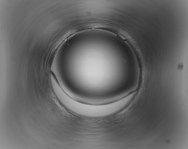 X0000114171185200910081515