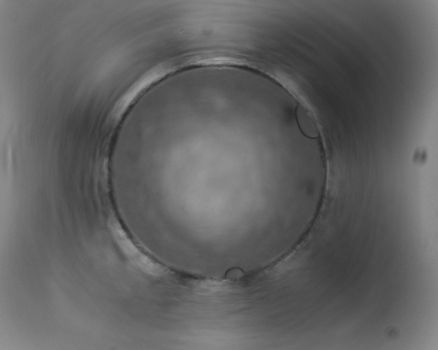 X0000114171189200910081515