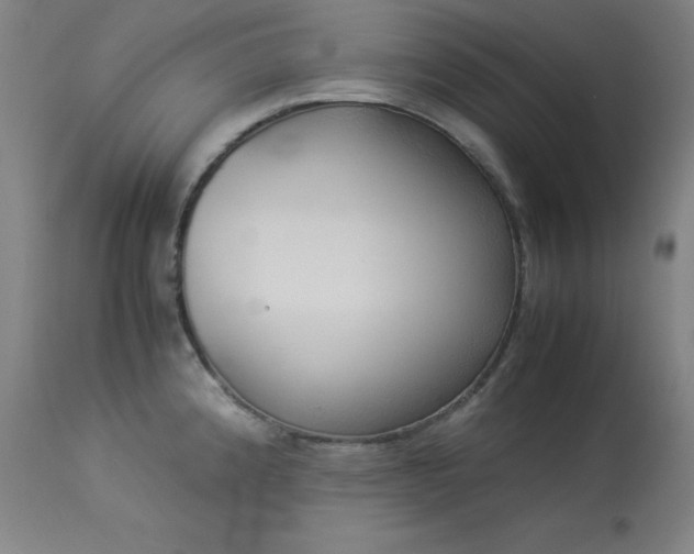 X0000114171192200910081515