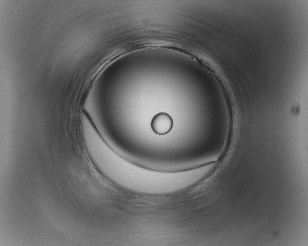 X0000114171193200910081515
