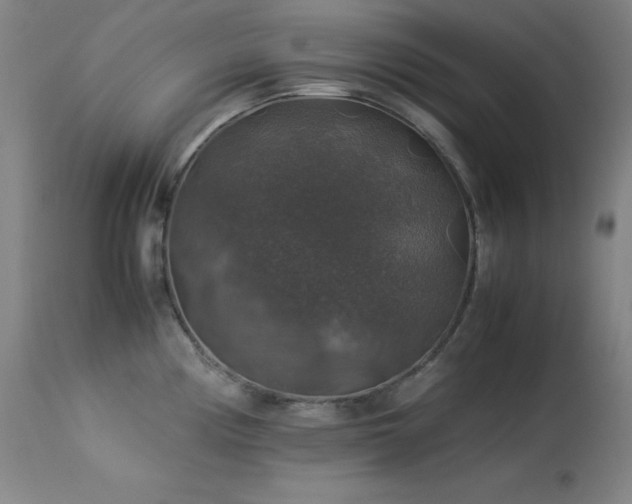 X0000114171194200910081515