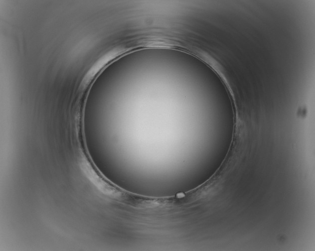 X0000114171195200910081515