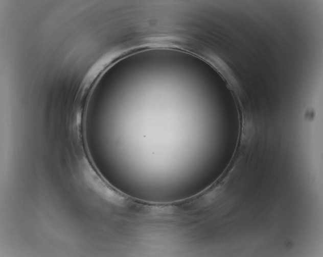 X0000114171196200910081515