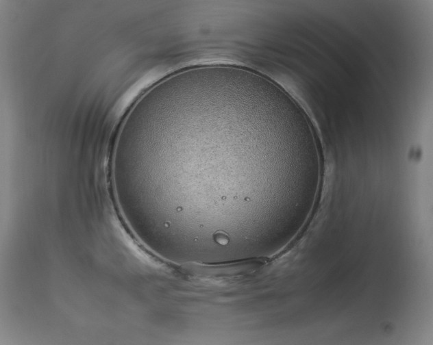 X0000114171197200910081515