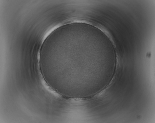 X0000114171198200910081515