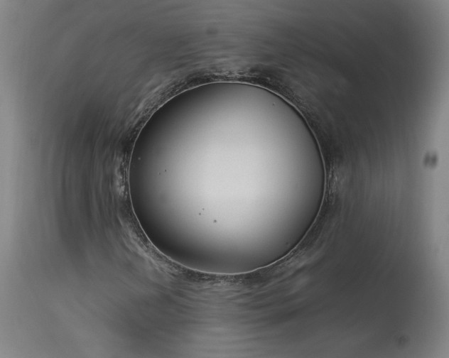 X0000114171202200910081514