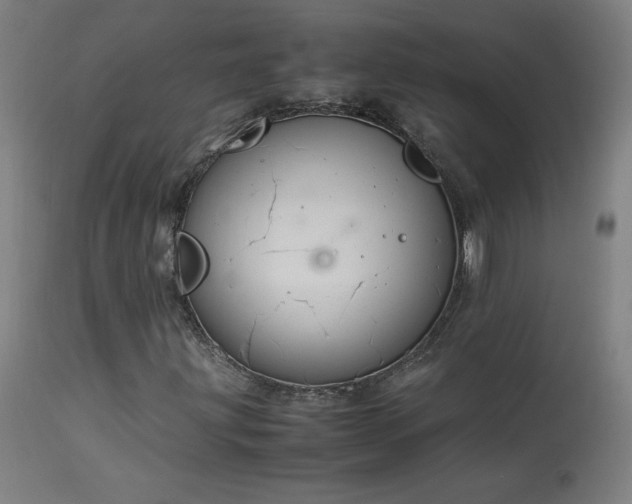 X0000114171203200910081514