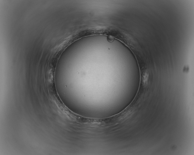 X0000114171204200910081514