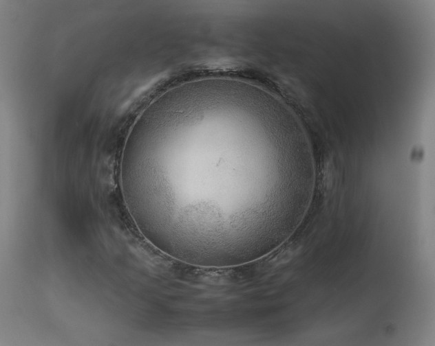 X0000114171205200910081514