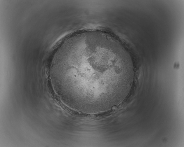 X0000114171206200910081514