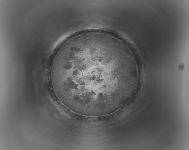 X0000114171208200910081514