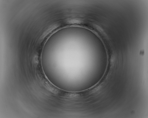X0000114171209200910081514