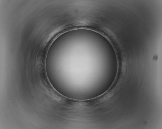 X0000114171210200910081514