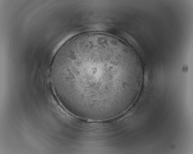 X0000114171212200910081514