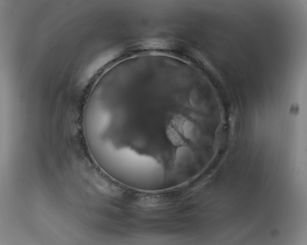 X0000114171213200910081514