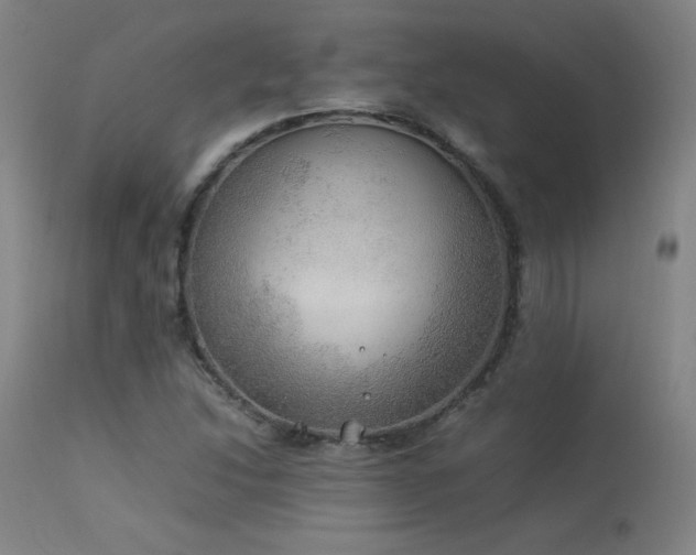 X0000114171214200910081514