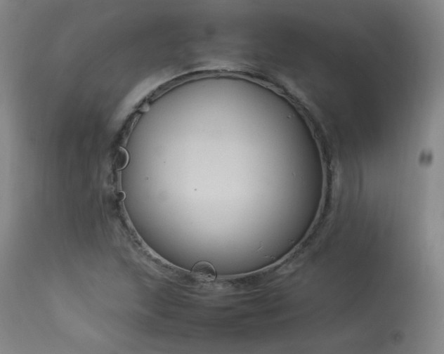 X0000114171215200910081514