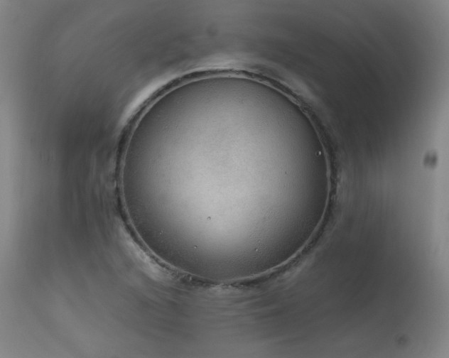 X0000114171216200910081514