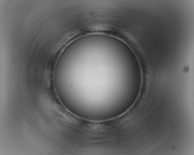 X0000114171217200910081514