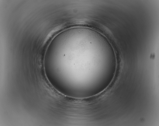 X0000114171218200910081514