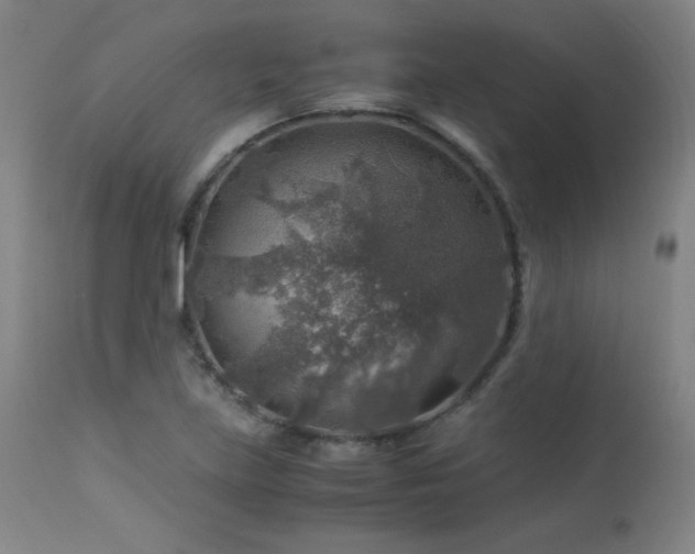 X0000114171219200910081514