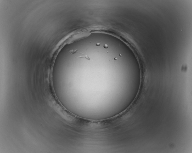 X0000114171220200910081514