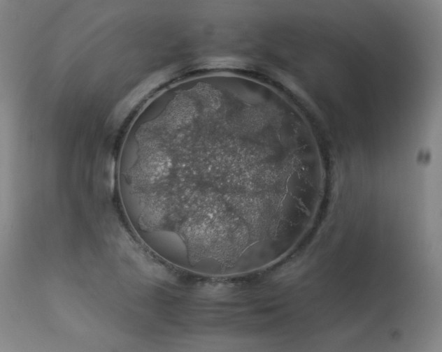 X0000114171221200910081514