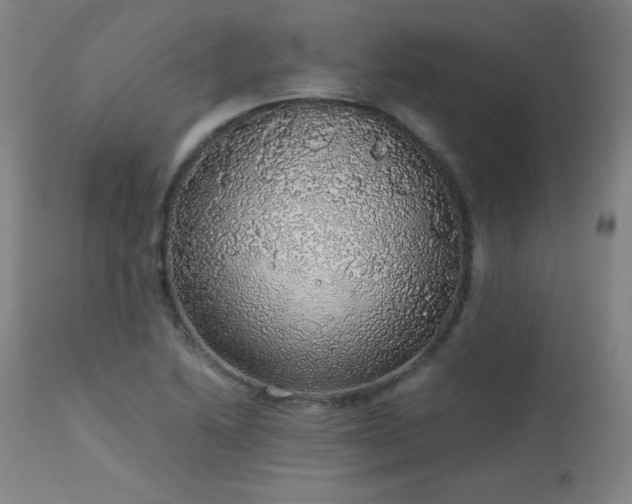 X0000114171222200910081514