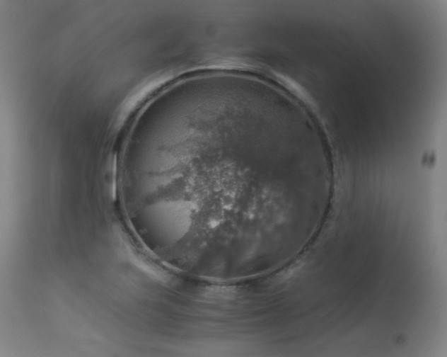 X0000114171223200910081514