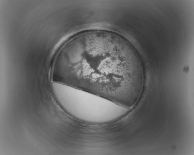 X0000114171224200910081514