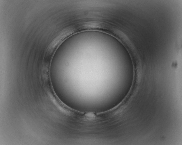 X0000114171225200910081514