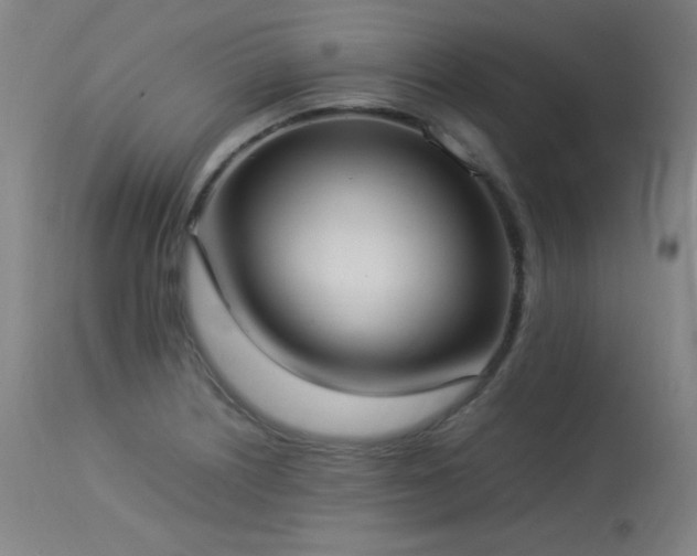 X0000114171226200910081514